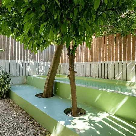 Contemporary Oasis In The Heart Of