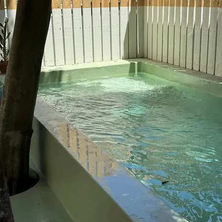 Lejlighed Contemporary Oasis In The Heart Of Lisboa